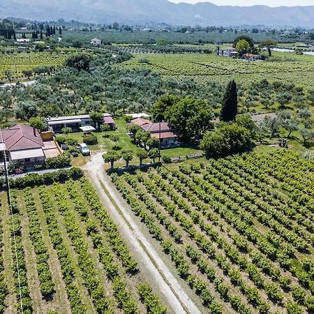 Authentic Country House In Zakynthos Ambelokipoi  Exterior foto