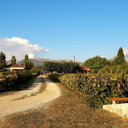 Authentic Country House In Zakynthos Ambelokipoi  Exterior foto